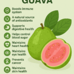 Benefits of Guava for Boosting the Immune System
