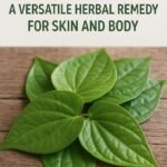 Betel Leaf: A Versatile Herbal Remedy for Skin and Body