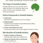 Centella Asiatica Ingredients: Benefits for Calm and Healthy Skin